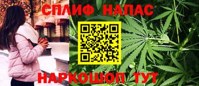 дмт Будённовск