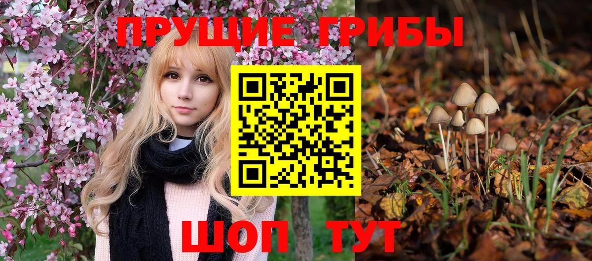 Псилоцибиновые грибы GOLDEN TEACHER Стерлитамак